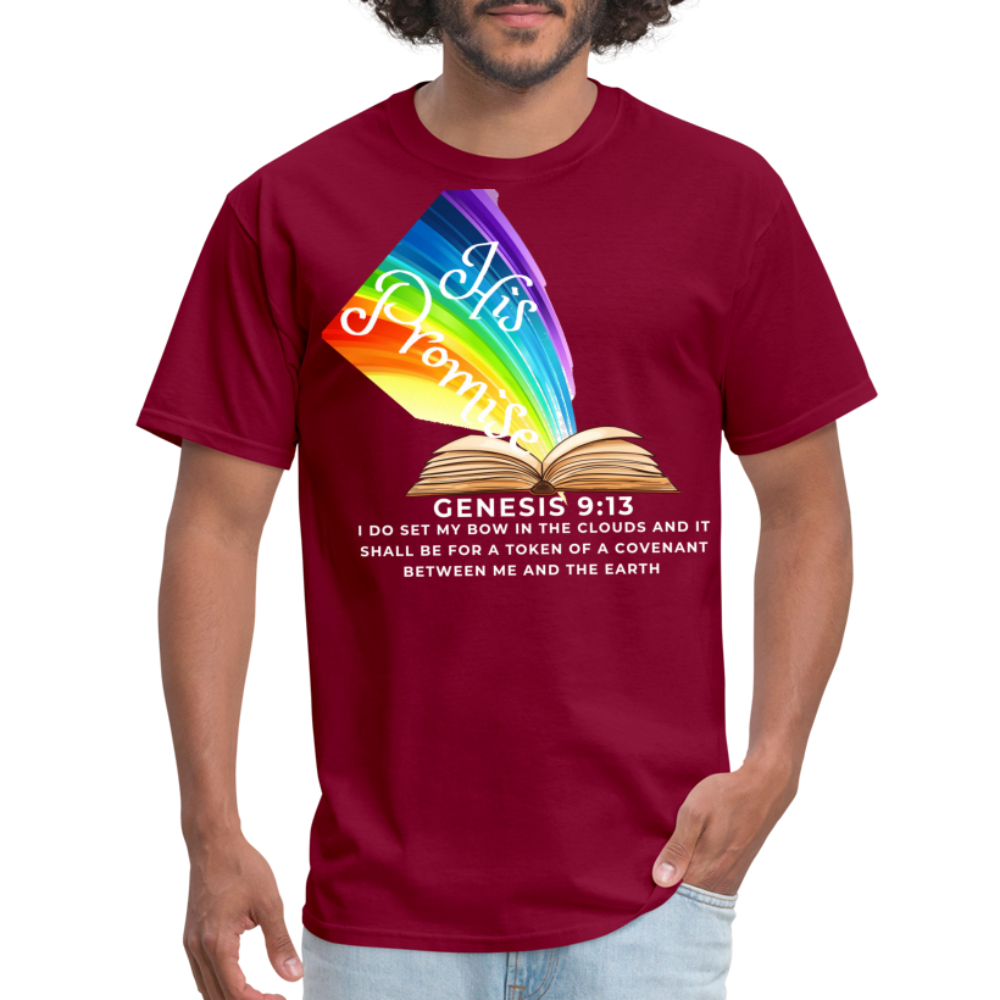 His Promise 2 T-Shirt - burgundy