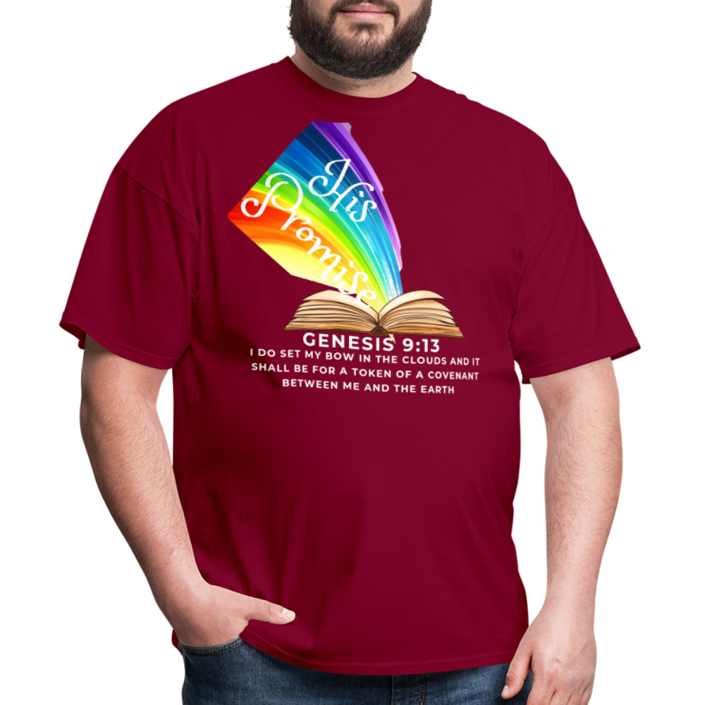 His Promise 2 T-Shirt - burgundy